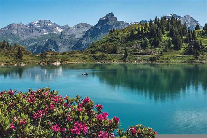 Pourquoi partir au camping à Corcieux ?